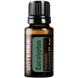 Eukaliptų (Eucalyptus) eterinis aliejus, 15ml