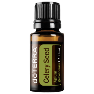 Salierų sėklų (celery seed) eterinis aliejus, 15ML