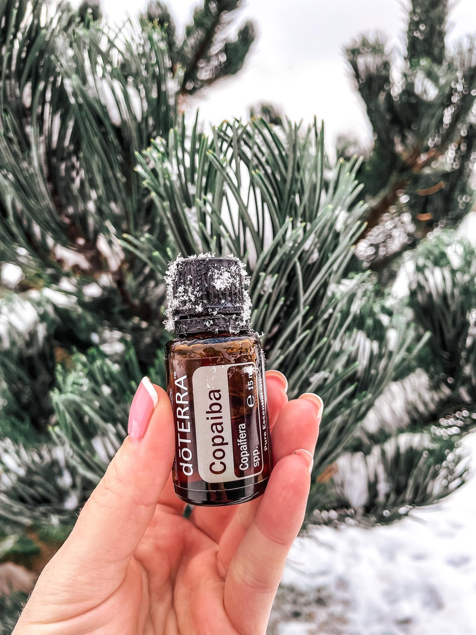 Copaiba fb