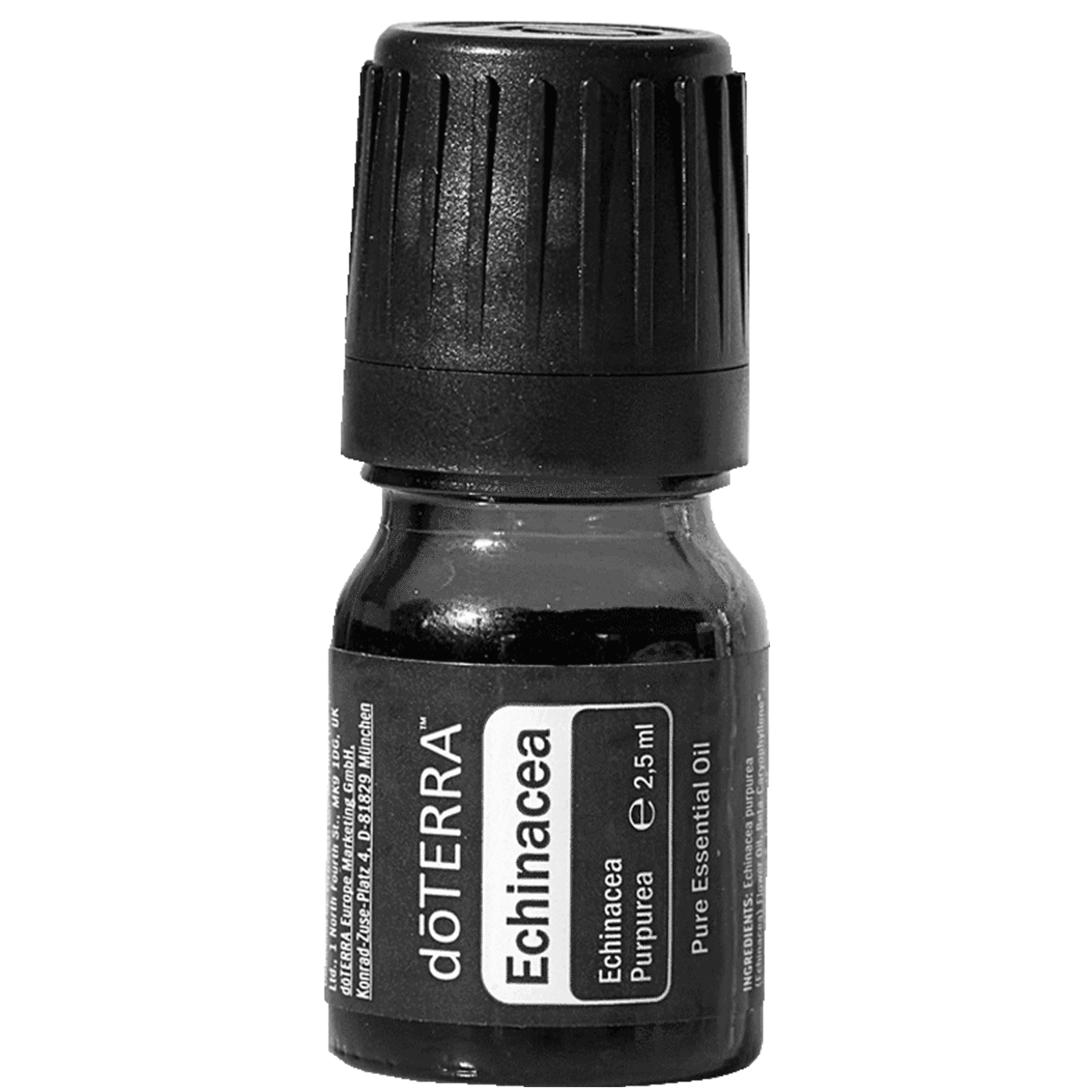 Ežiuolė, 2,5ml